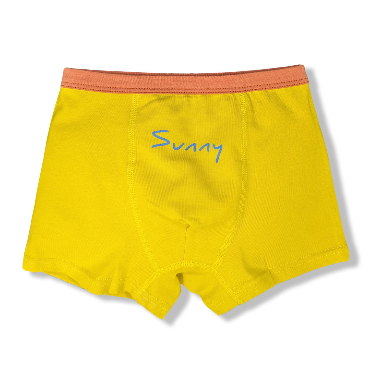 Moon Under the Bridge Boys' Soft Cotton Boxer Shorts Underwear Pack of 5 - Weather