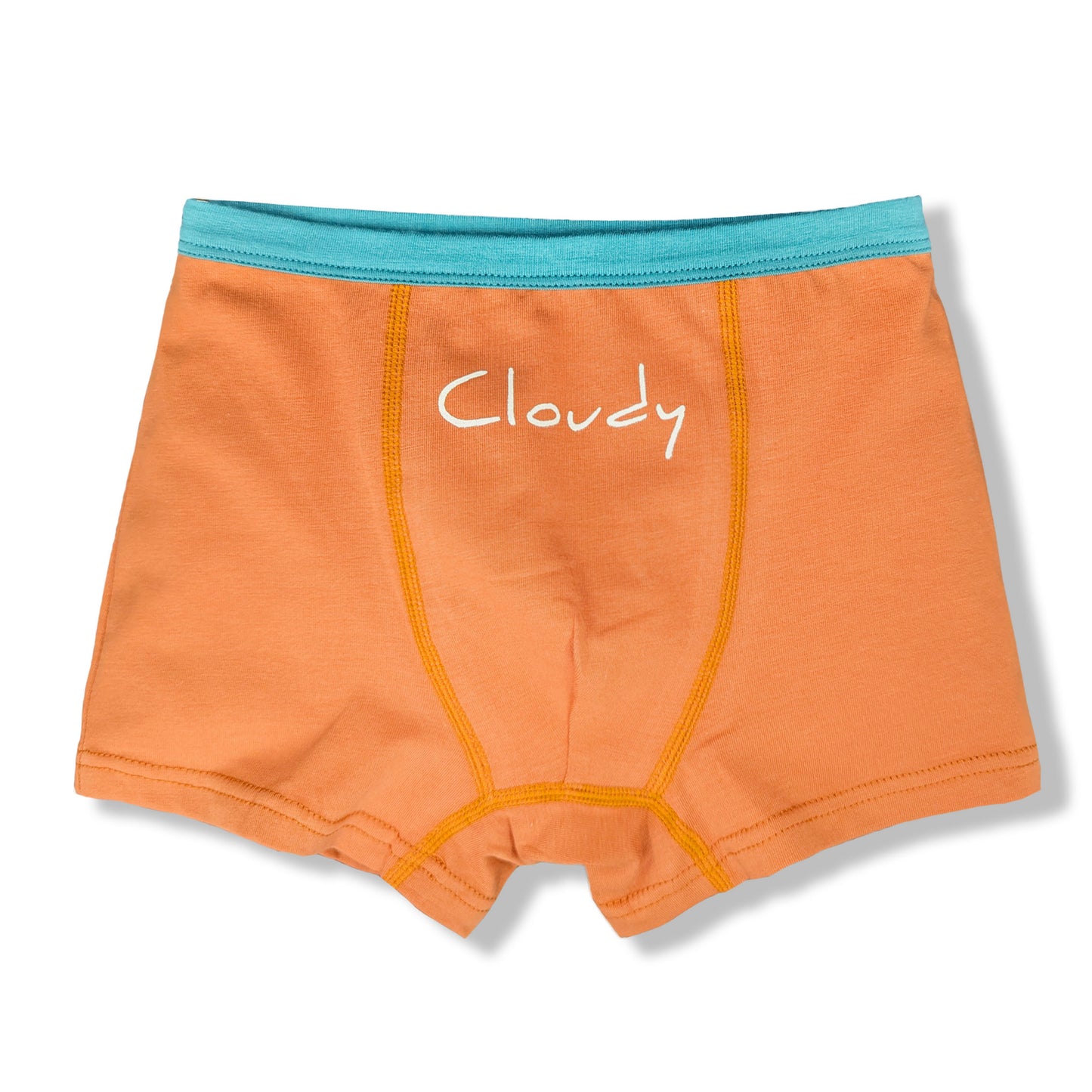 Moon Under the Bridge Boys' Soft Cotton Boxer Shorts Underwear Pack of 5 - Weather